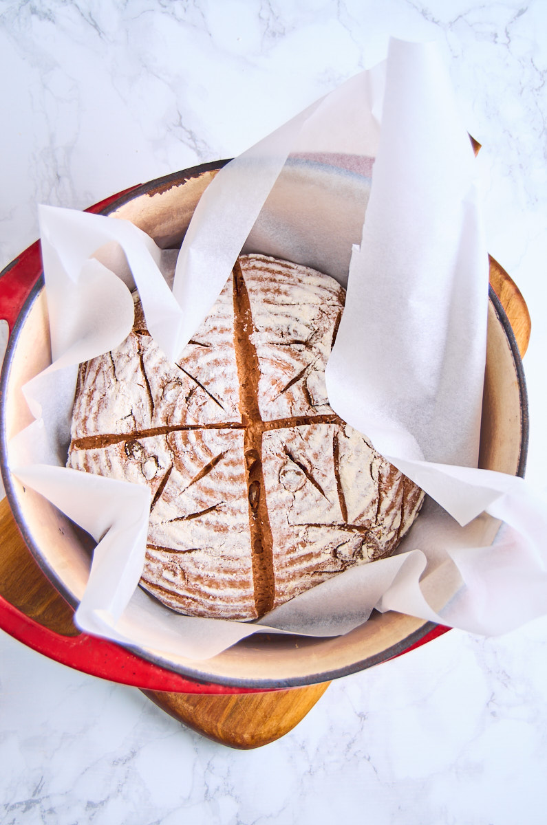 Black Garlic Sourdough Bread with Chocolate on baking parchment in a dutch oven with the parchment corners standing up, needing to be trimmed.