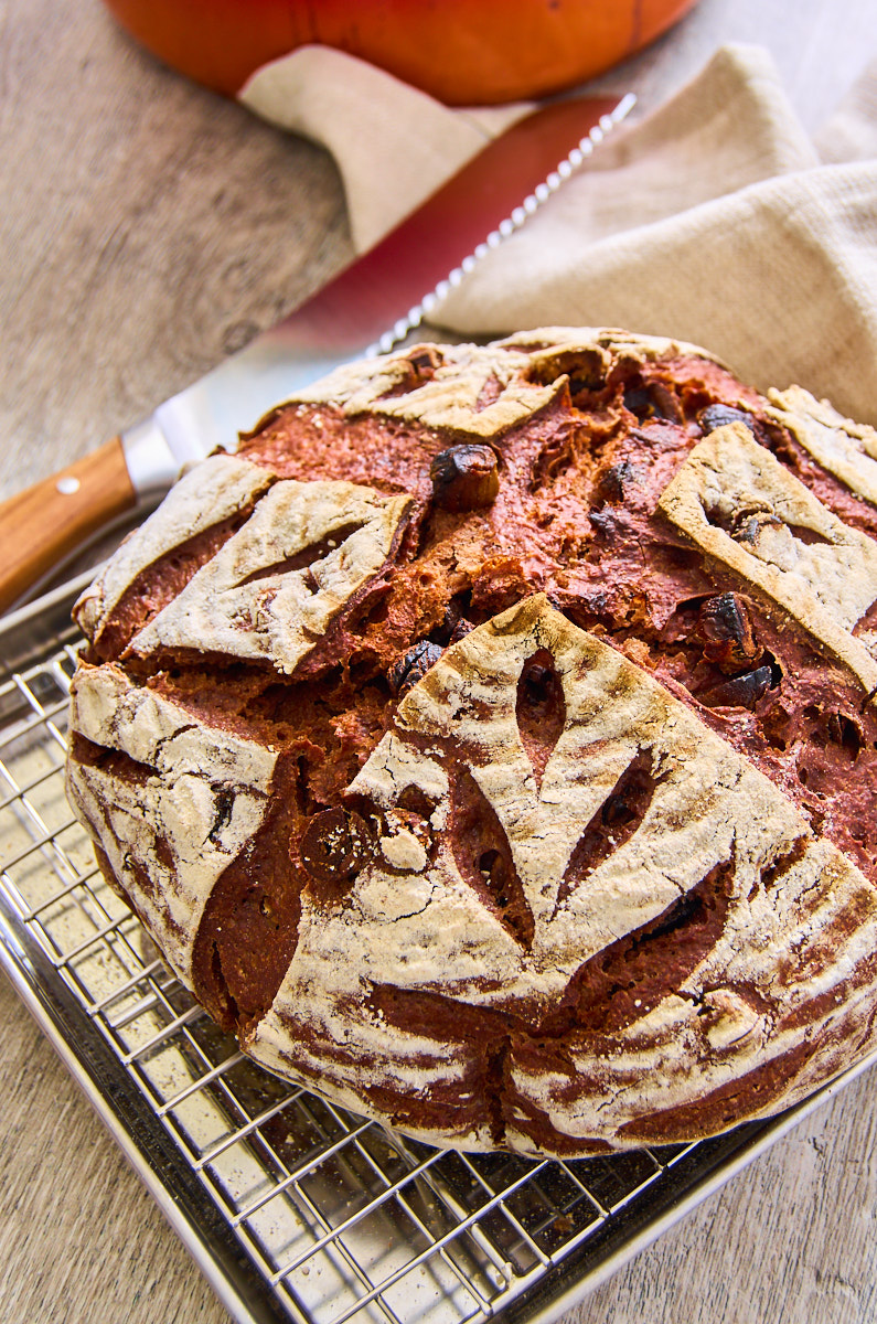 Black Garlic Sourdough Bread with Chocolate Fresh out of the oven, a cast iron pot in the background.